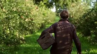 Elephant Gin Story | How we make our gin