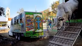 ¡REPAROS BÁRBAROS CON RANCHO LA MISIÓN! Tenanguillo, Guerrero