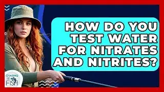 How Do You Test Water For Nitrates And Nitrites? - Chasing Big Fish