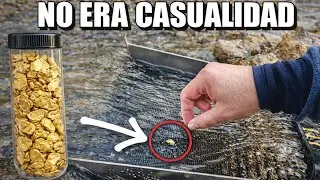 NO ERA CASUALIDAD | Encontr&eacute; pepitas de ORO en el lecho del r&iacute;o