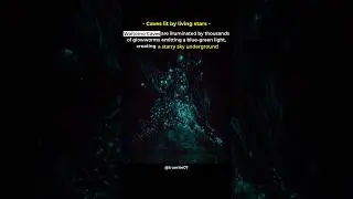 The Glowing Caves of Waitomo, New Zealand.. #shorts #viralshort #youtubeshorts #inspiration #youtube