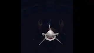 Hungry Shark Evolution Gameplay (Old Version)