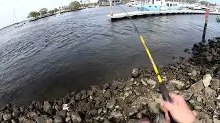 Mr Crappie Slab Shaker is a Versatile Micro Combo