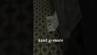 HOW TO KILL SPYDER BABY