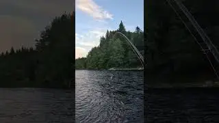 Laks Sone 3 - &Aring;rets f&oslash;rste? #salmon #catchingfish #catchandrelease