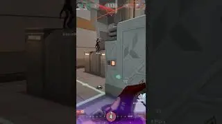 VANDAL Ace INCOMING (Valorant)