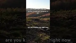 Free dispersed camping in WV! #dispersedcamping #overlanding #westvirginia