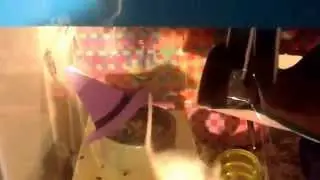 Mouse hammock