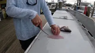 GLORIFIED BRIDGE FISHING FAIL | HOW TO FILLET A SNAPPER | EP.17