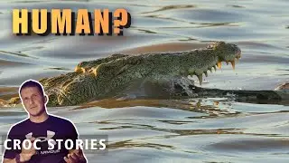 TOURISTS Noticed CROCODILES Feeding on Something...(Ep.20)
