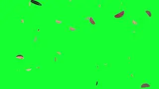 vibrating/shaking fruits (watermelon slice) drop greenscreen