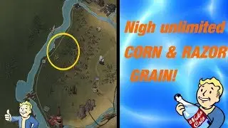 EASY Razorgrain & Corn | Nukashine Ingredients | Fallout 76