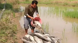 A man so funny find and collect the fish near the pumping water a lot of fish was catched by him