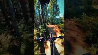 Just send it! #mountainbikinguk #mtb #mtbrebels #mtblife #mtbdownhill #mtbsends