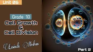 Cell growth & Cell division