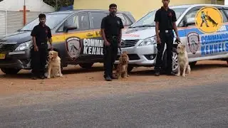 COMMANDO KENNELS K9 SECURITY SERVICES