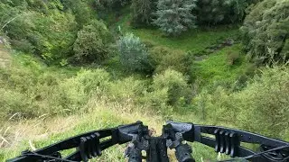 Crossbow Fallow Hunt