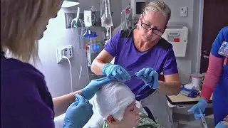 Scientists Create 'Prosthetic Memories' in Groundbreaking Brain Research