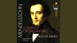 Organ Sonata in D Minor, Op. 65 No. 6, MWV W 61: III. Variation 2