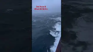 Storm and sea force 8 and 45 knots wind