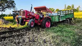 खेत में फंसी धान से भरी ट्रॉली 😮😮