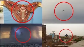 5 godzilla characters caught on camera part 2