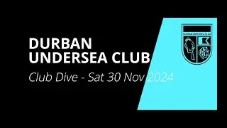 DUC Club Dive - 30 November 2024