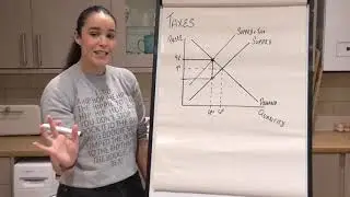 Taxes: Calculating the Burden and Government Revenue