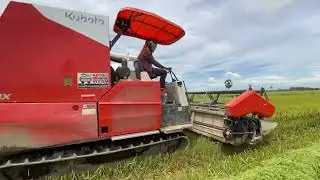 Kubota dc 108 harvester machine going to rice fields 