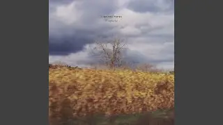 Library Tapes: Fragment VI