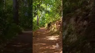 Den Weg gehen | Tagesimpuls 05.06.2025 | Wort und Wandel