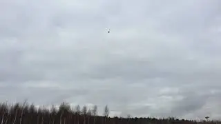 T-rex 550 flybar heli 2018