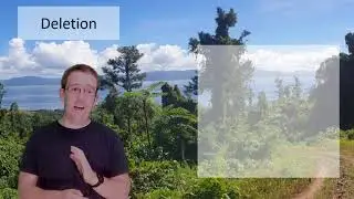 A Level Biology: Variation - 1. Mutations