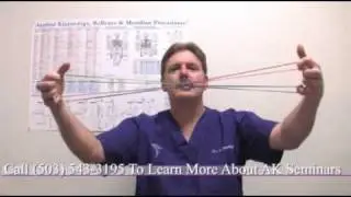 What Is Applied Kinesiology? Muscle Testing Seminars And Clinic For Holistic Health In Seattle, WA