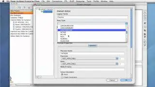 Domains in SQL Power Architect Enterprise