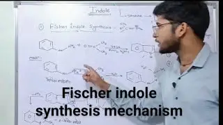 fischer indole synthesis || mechanism
