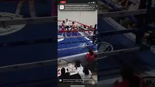 Pelea profesional 3