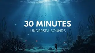 30 Minutes Under the Sea Sounds | Deep Ocean Noises for Meditation & Work