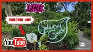 FOLIAGE GARDEN | BOTANICAL GARDEN | SINGAPORE