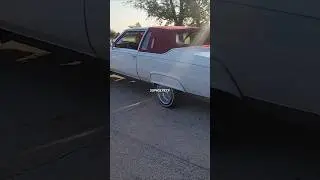 84 & 85 Caddy Coupe Deville lowrider plus 64 Impala Pull-up to the all Caddy Car Meet #chicago #car