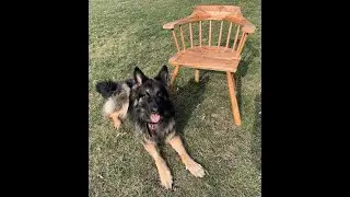 Beech chair
