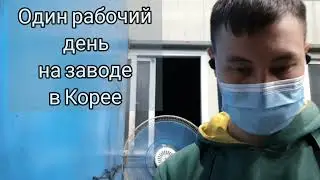 один рабочий день на заводе в корее