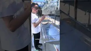 Compact chicken slaughter line