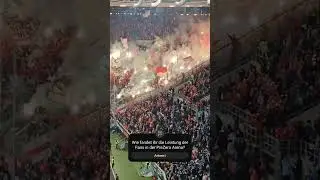 VfB Stuttgart Fans in Sinsheim 🔥