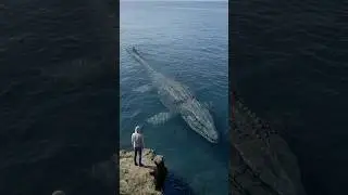 Mosasaurus vs Human &mdash; Ocean Monster