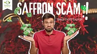 STOP Before You Start🚫 The Biggest Saffron Farming Hype EXPOSED!😱 REAL Profit Revealed!