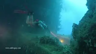 Ghosts in the Deep: Rebreather Silence on the Kiyosumi Maru
