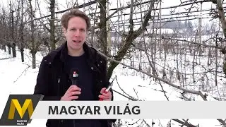 Magyar Világ: Tudományok Napja, gyümölcsfák metszése, Báthory István