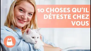 10 CHOSES que les CHATS D&Eacute;TESTENT chez les HUMAINS 😾 &Eacute;vitez-les&nbsp;!