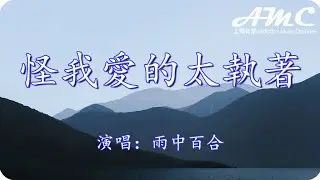 怪我愛的太執著 - 雨中百合 -『謝謝你給我上了這一課 告訴我有的心永遠捂不熱』♫滾動歌詞Scroll lyrics♫